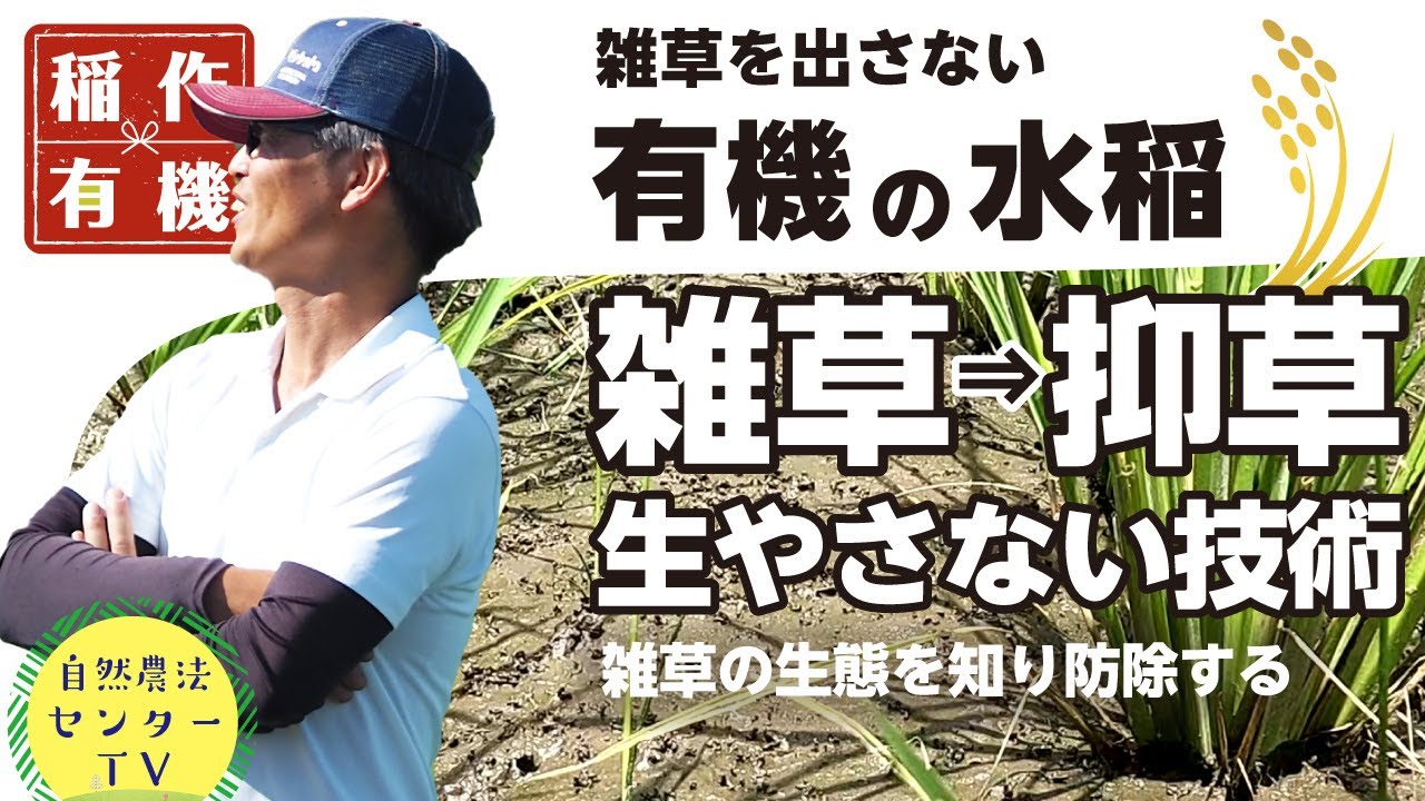 そもそも雑草出さない!!　雑草が出る仕組みを知って先手の抑草+イネも元気に育てる『有機の米づくり』　【稲作有機 by 自然農法センター】