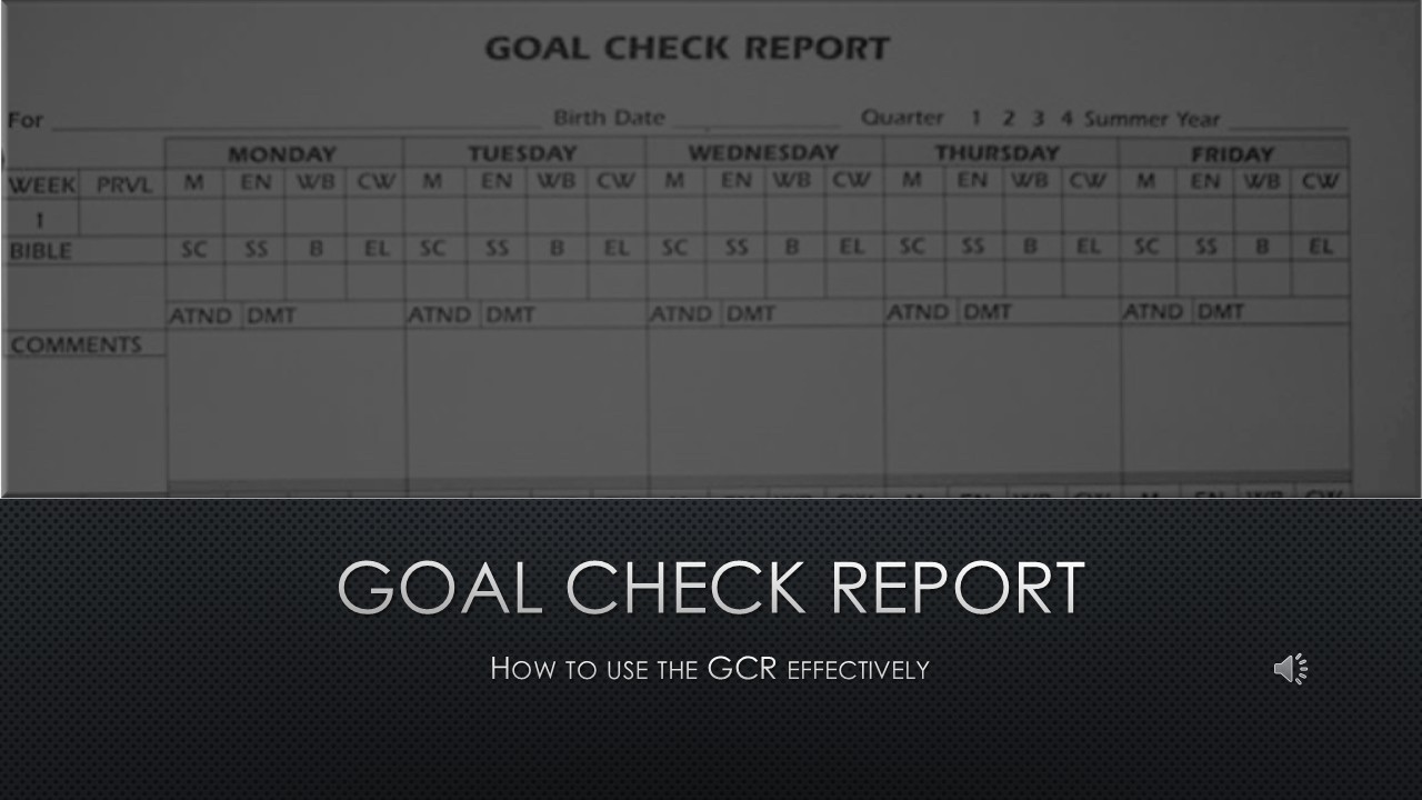 Goal Check Report (ENG)