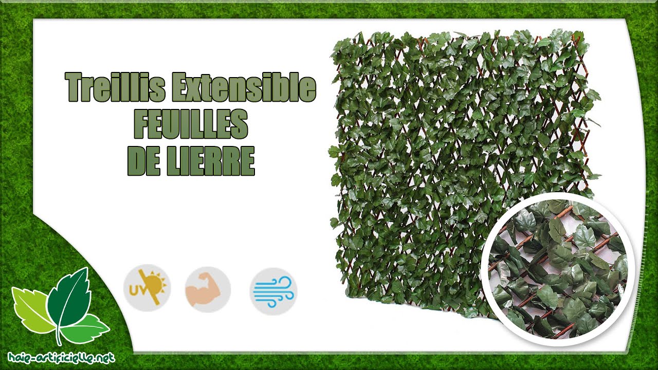 Treillis Extensible FEUILLES DE LIERRE / Haie-artificielle.net