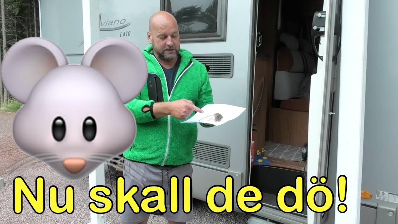 Mössen i husbilen, är de borta?