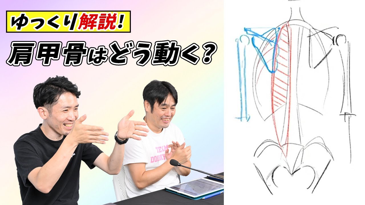 ラクガキ雑談#172：【美術解剖学】プロに教わる「肩甲骨・上腕・鎖骨」の関係　肩甲骨はラグビーボール状の胸郭の上を滑走します