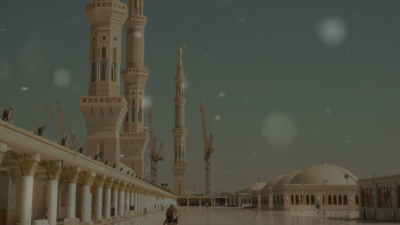 سورة يوسف || تلاوة ممتعة للشيخ بدر التركي || Recitation by Sheikh Badr Al Turki (88-111)