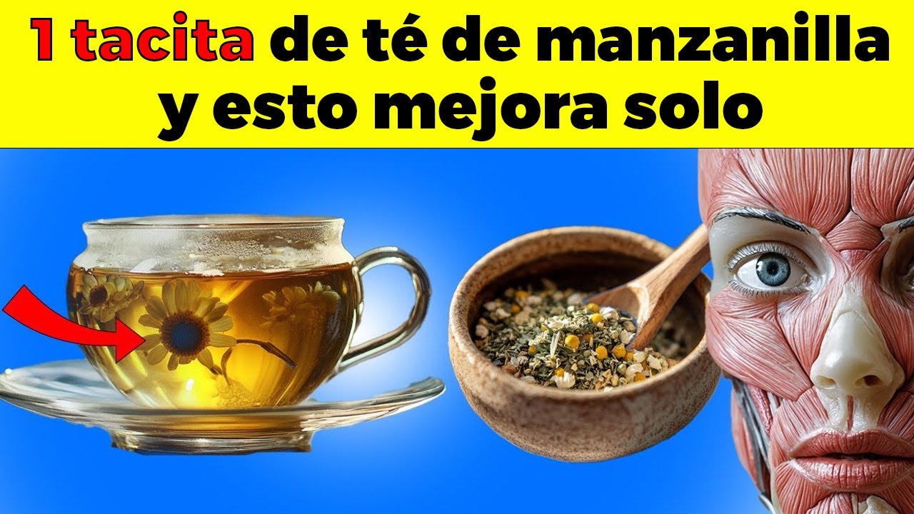 ¿QUÉ ENFERMEDADES ALIVIA el TÉ DE MANZANILLA? (cómo prepararlo)