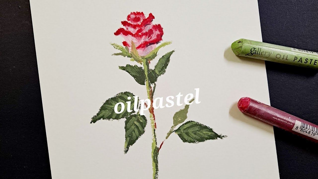 오일파스텔로 투톤장미 그리기(초보자가능) 도화지, 문교 오일파스텔 120색.