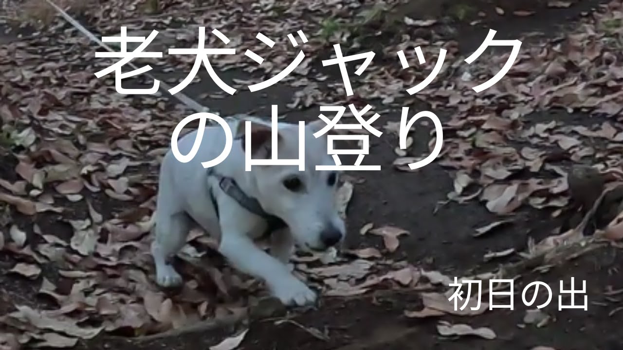 mtkoubouwithrona
