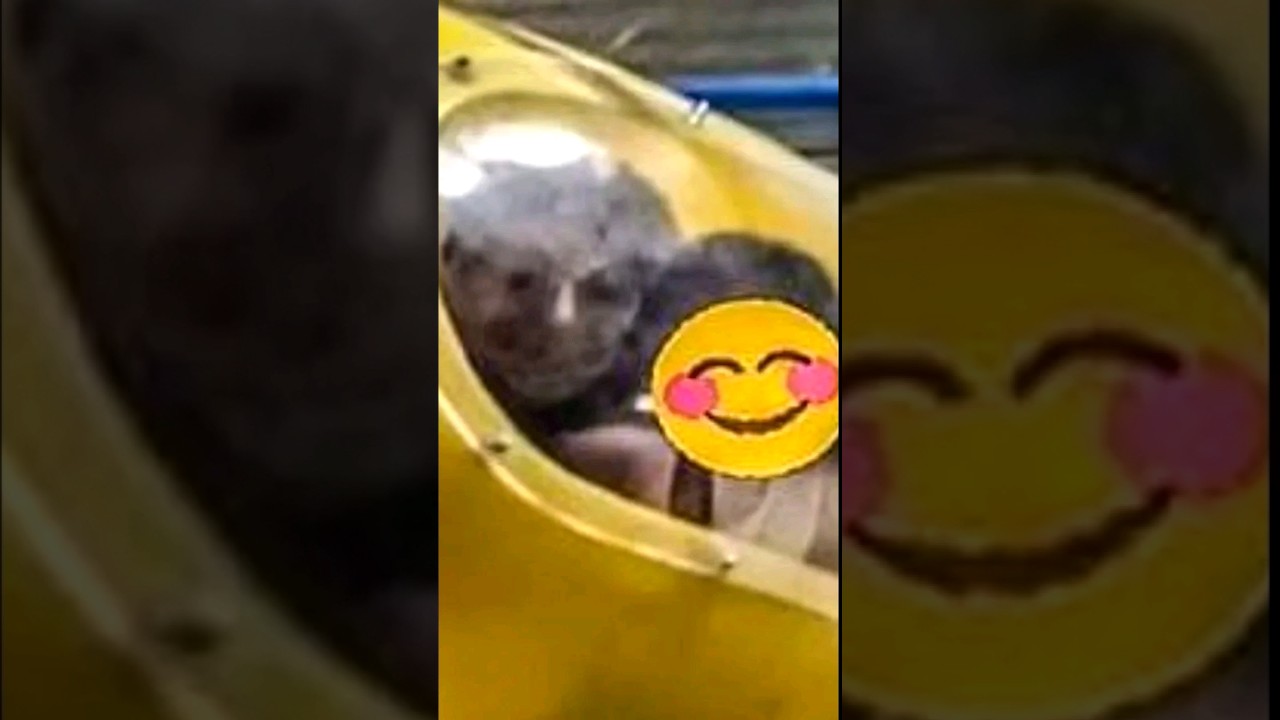 El amigo de su Hija NO EXISTE!