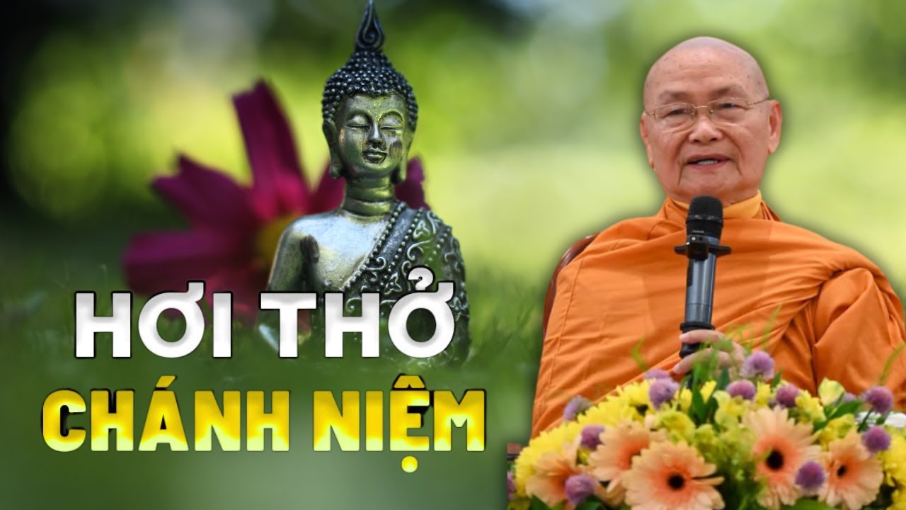 Trí Tuệ Của Những Người GIÁC NGỘ | Thầy Viên Minh (Nên Nghe)