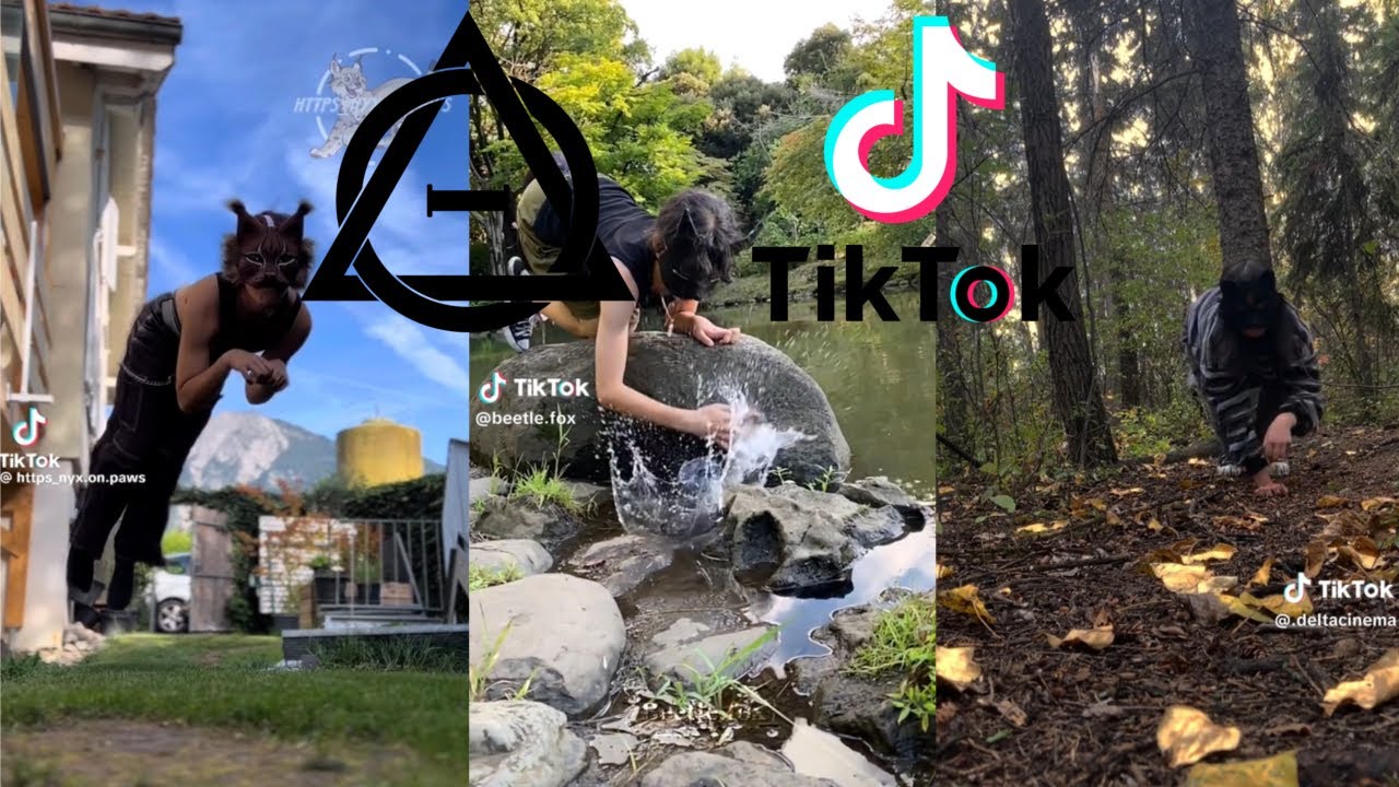 Therian and Quadrobics TikToks || Compilation 🐾🍂 || Alterhumans of TikTok #40