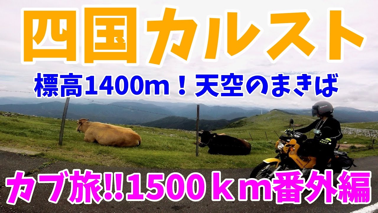 【カブ旅1500㎞番外編】モトブログ #20　標高1400ｍ！天空のカルスト台地をクロスカブとモンキーが行く！＜四国カルスト・天狗高原＞