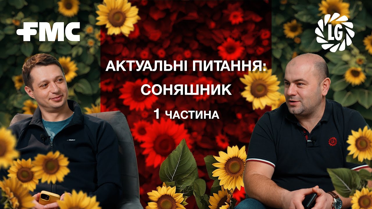 Соняшник під технологію Express ®. Відповідаємо на актуальні запитання аудиторії