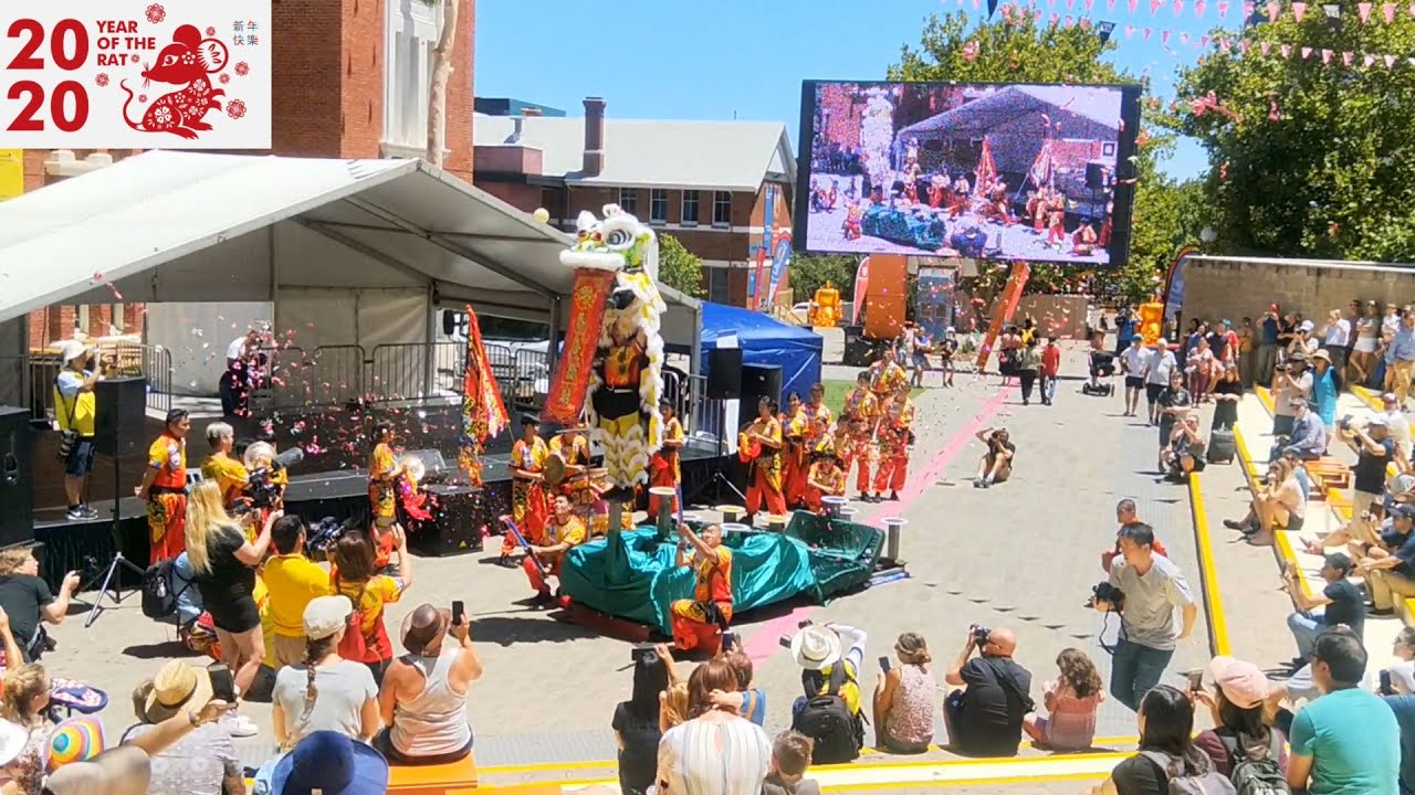 2020 🦁🐀 Lion Dance on Poles Perth Chinese New Year Festival 西澳新年