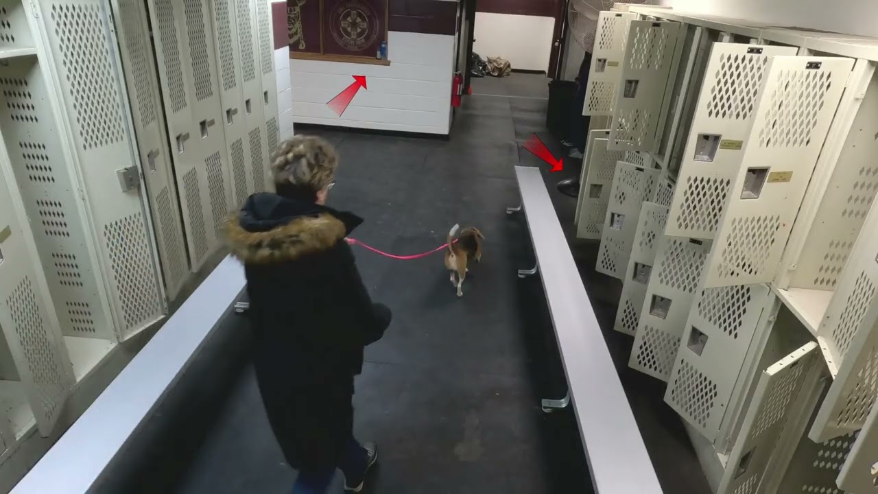 LOCKER ROOM SEARCH