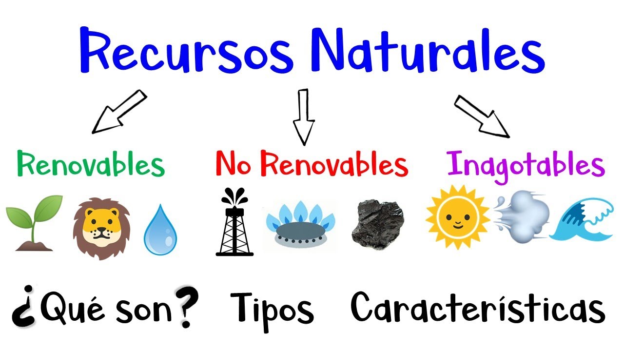🌳 Recursos Naturales: Renovables, No Renovables, Inagotables 🌞 Ejemplos [F&aacute;cil y R&aacute;pido]