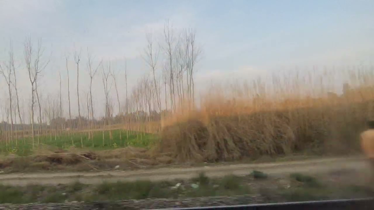 #speed train 