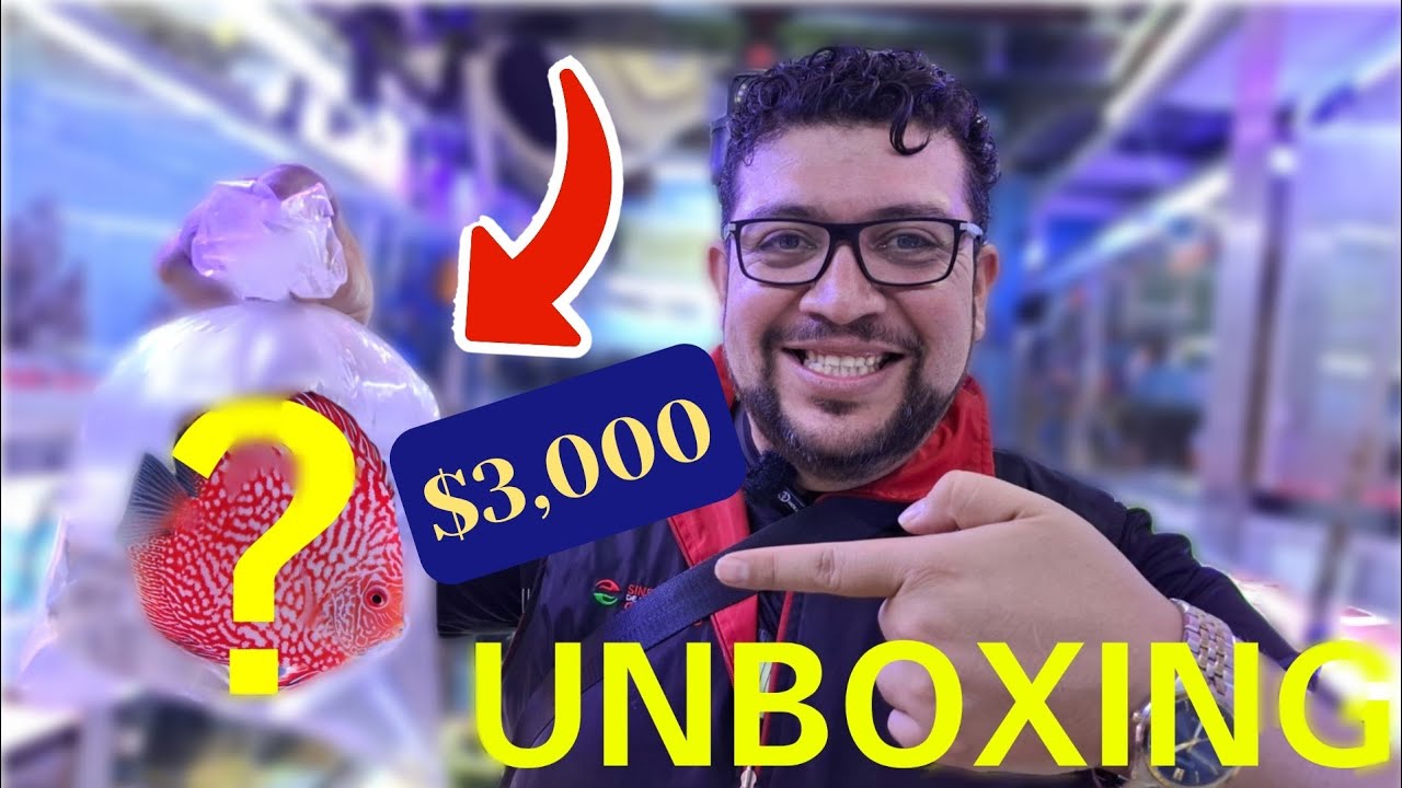 ¡UNBOXING MISTERIOSO!, INTRODUCIENDO NUEVOS PECES AL ACUARIO