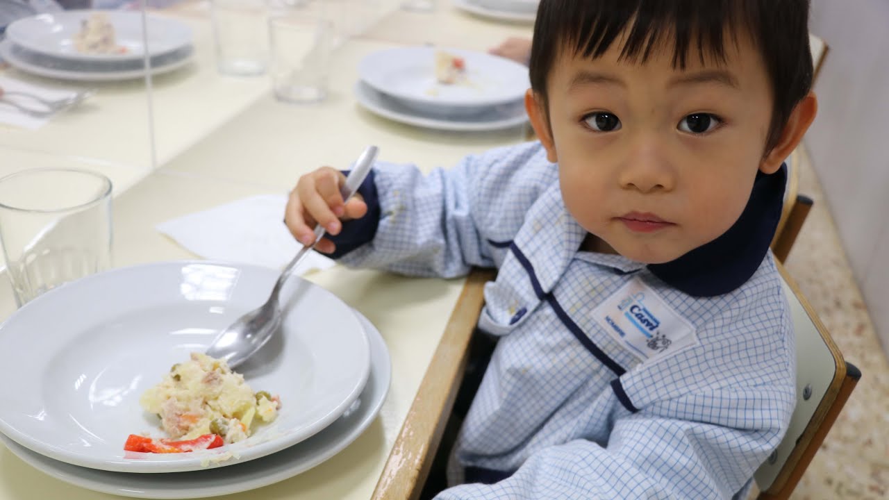 Proyecto Educativo Casvi: Educación nutricional // #Orientación #BachilleratoInternacional