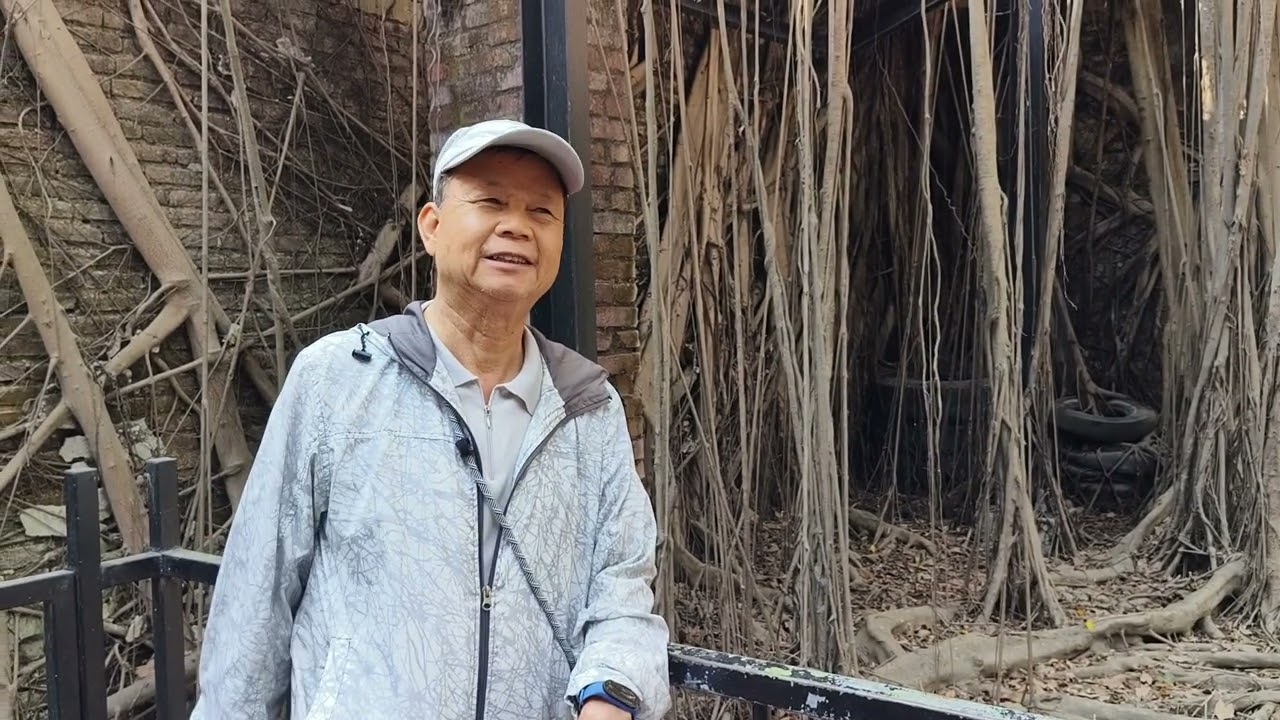 安平樹屋