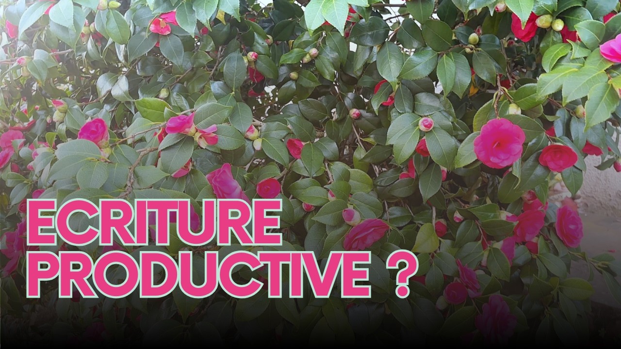 Ecriture productive ?