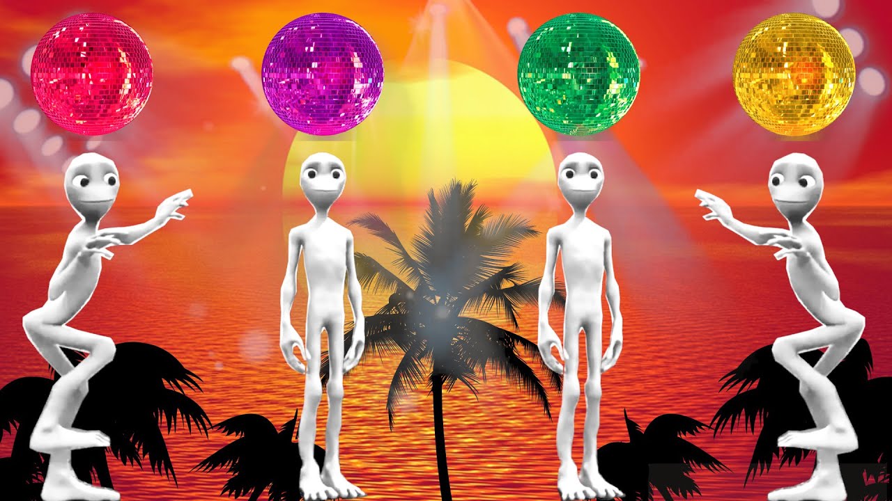 patila dance - patila wrong heads - disco wrong heads