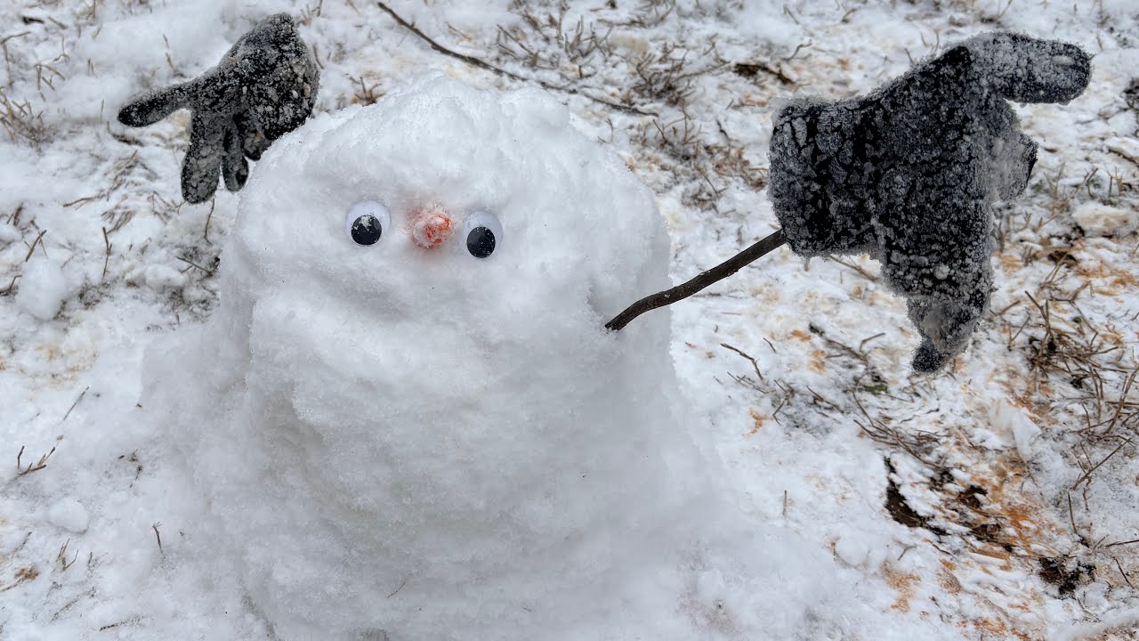 Georgia Snowstorm 2026 ❄️ | A Rare Winter Day at Home When the World Slows Down