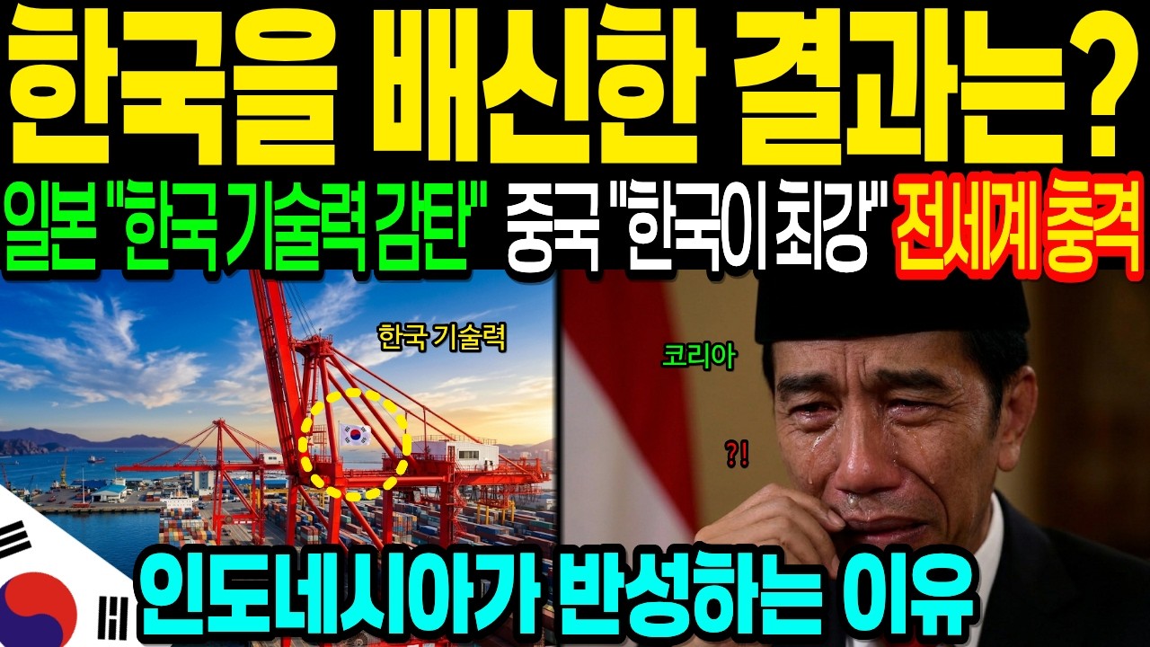 [해외감동사연] 한국 비웃다 나라 경제 붕괴? 인도네시아 100억 불 항만 대참사에 패닉! 35년 버틴 한국 기술력에 전 세계가 경악한 이유｜아시아 초비상 사태