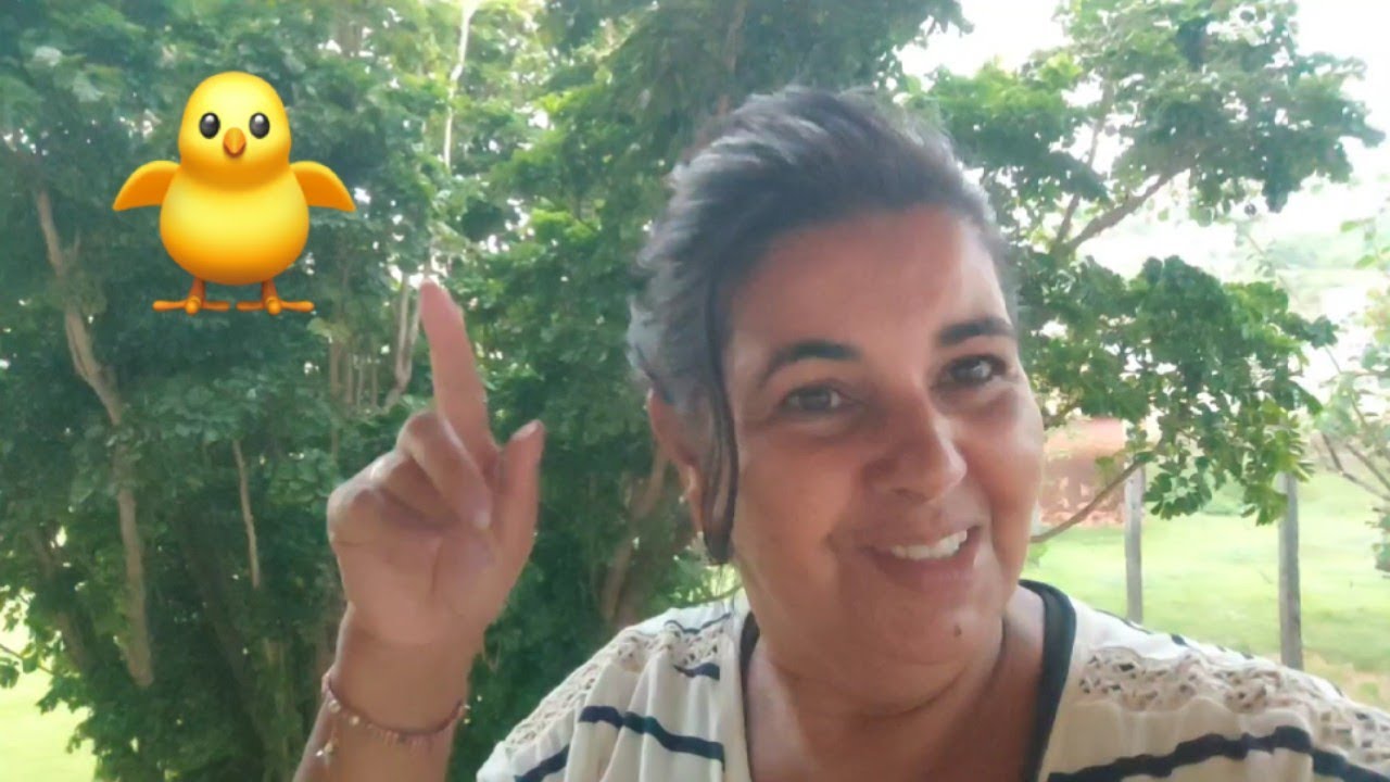 Sertão Bahiano 🌳 terá Fértil .A Natureza os bichos se manifesta com Alegria.
