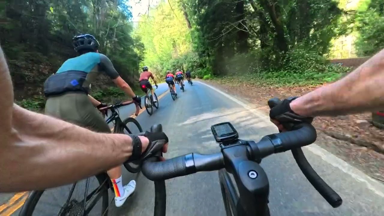 AltoVelo A Ride Summer is here