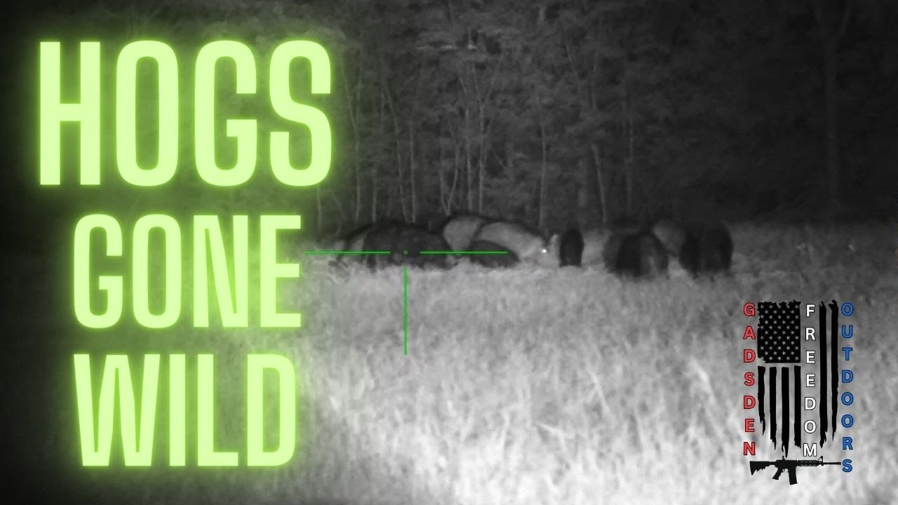 Compilation of Hog Hunting Videos 