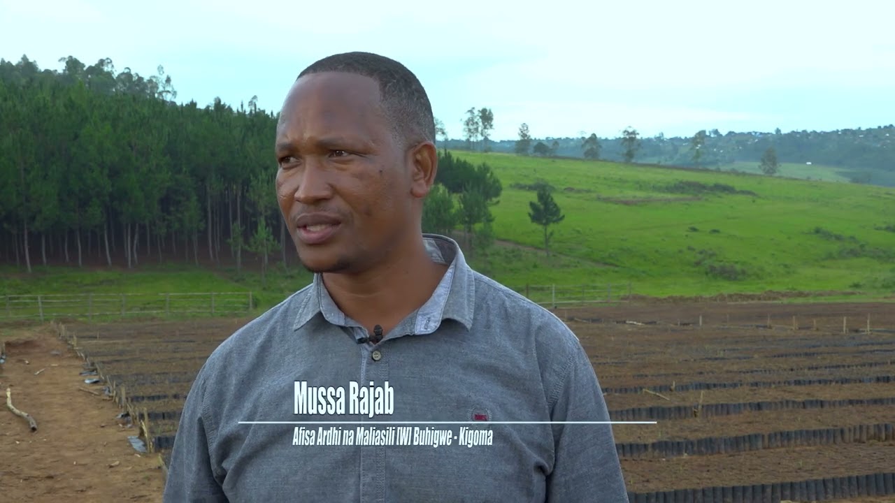 Maajabu ya Chanzo cha Mto wa Pili kwa Ukubwa Tanzania: Mto Malagarasi