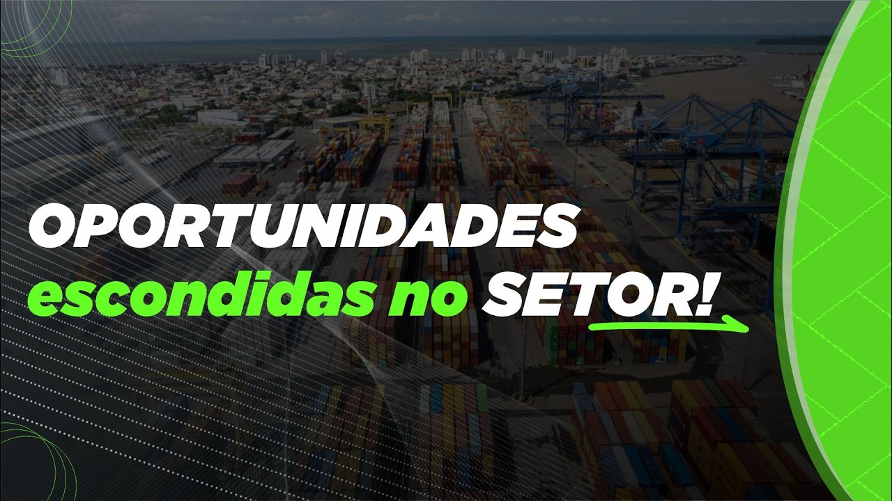 Onde um Técnico em Portos pode trabalhar?