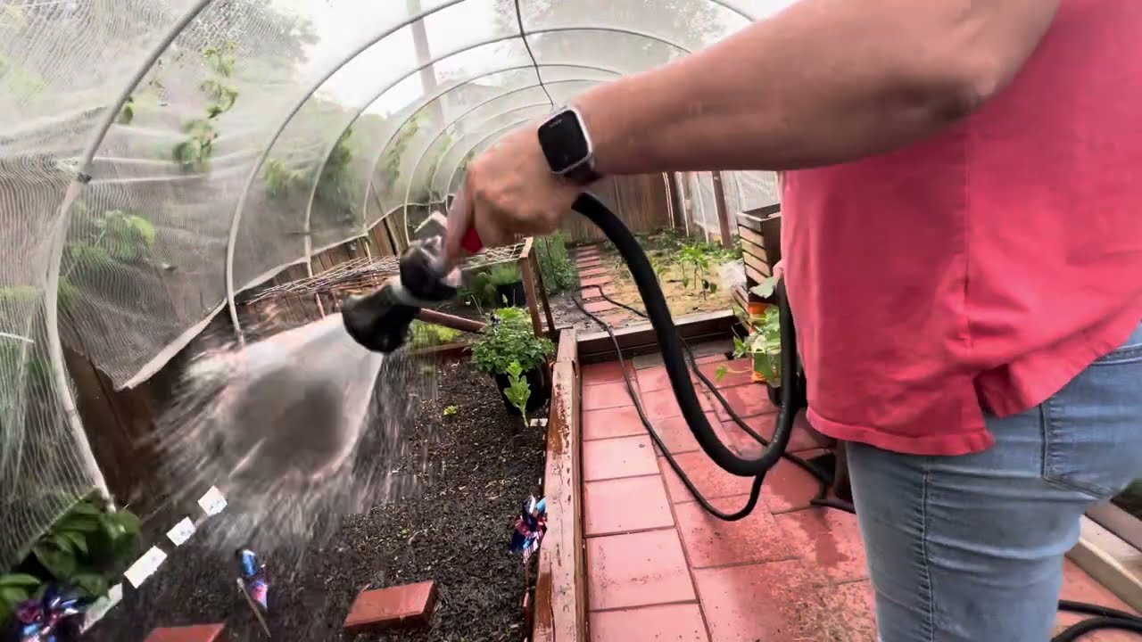 Best Ways To Water The Garden
