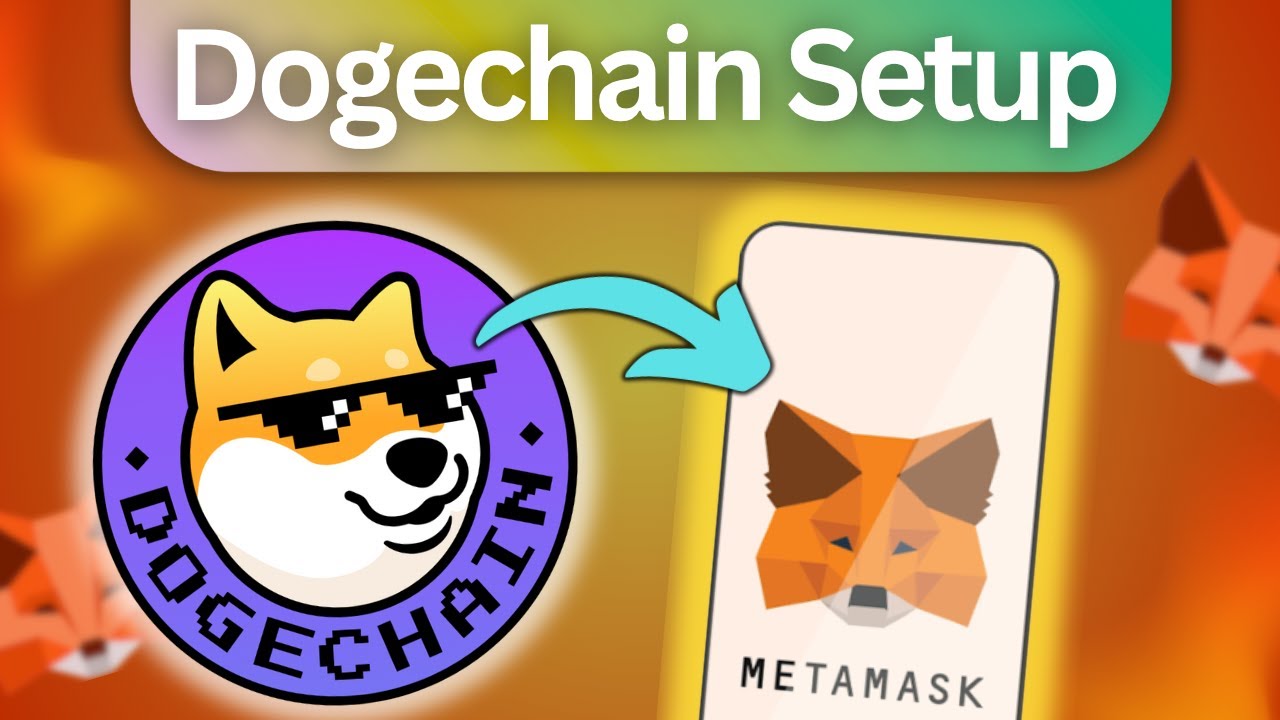 Как добавить основную сеть Dogechain в Metamask &mdash; пошаговое руководство.