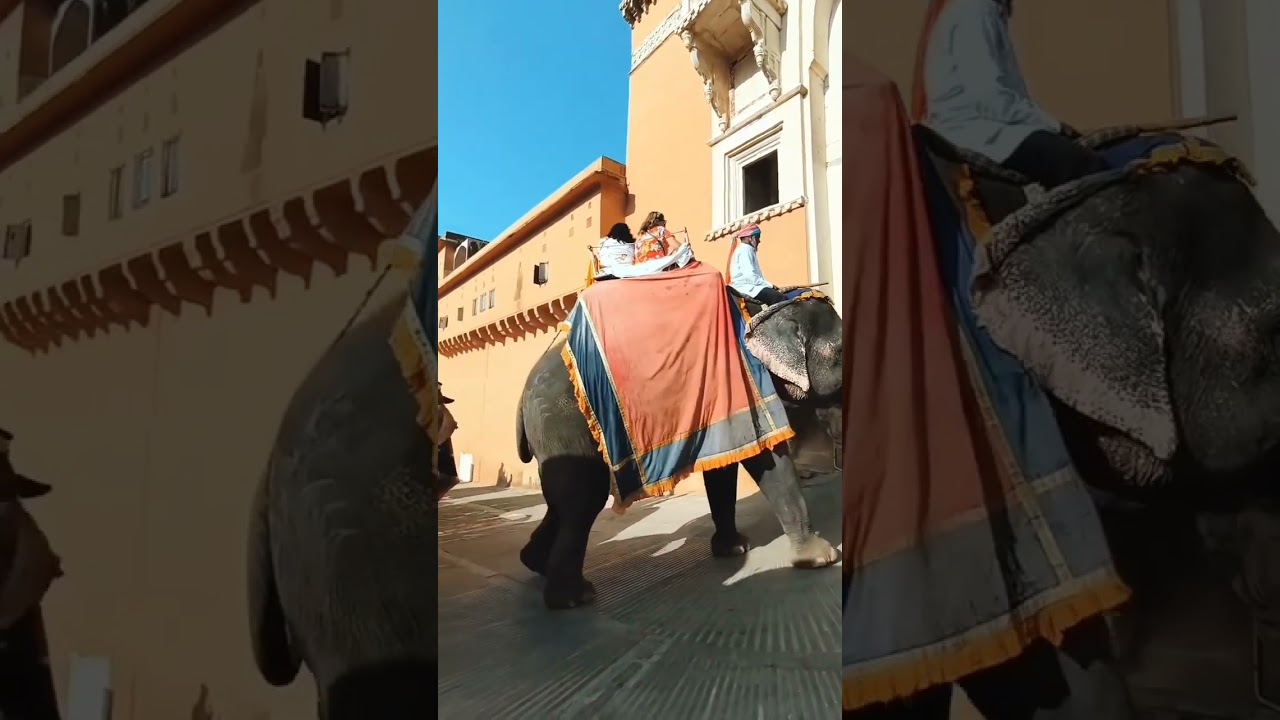 # Amer Fort | Elephant Ride Jaipur | Rajasthan