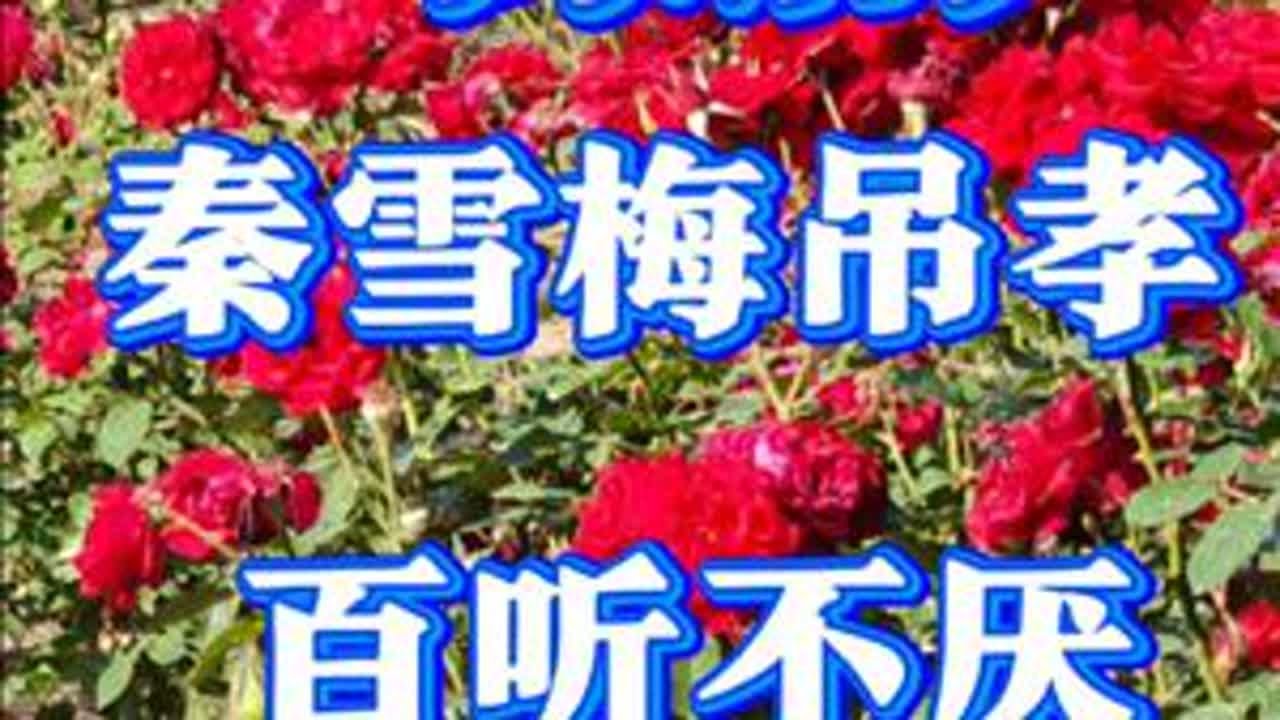 #豫剧#秦雪梅#分享给大家 #传递戏曲文化 #谁说戏曲不抖音 #戏迷抖起来