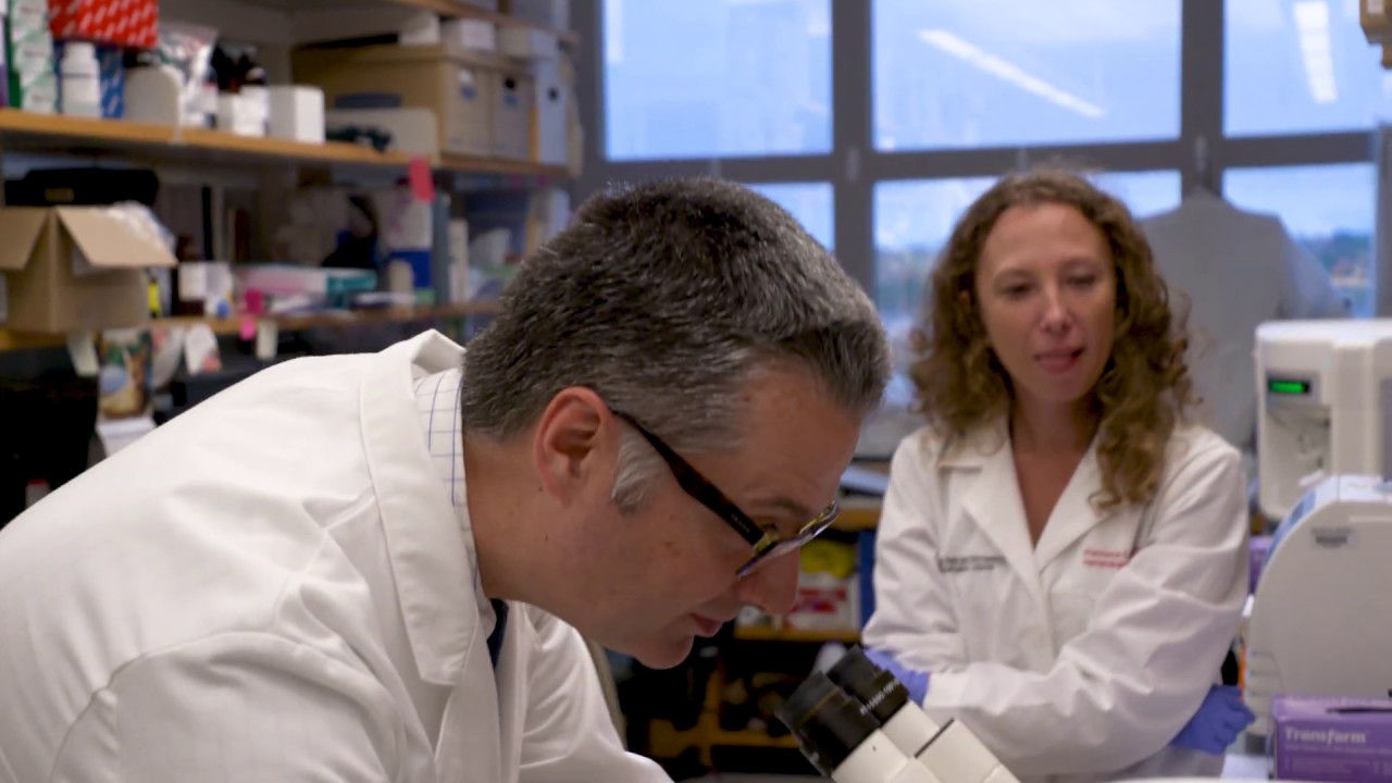 Internal Medicine Residency: Physician Scientist Training Program | Ohio State Medical Center