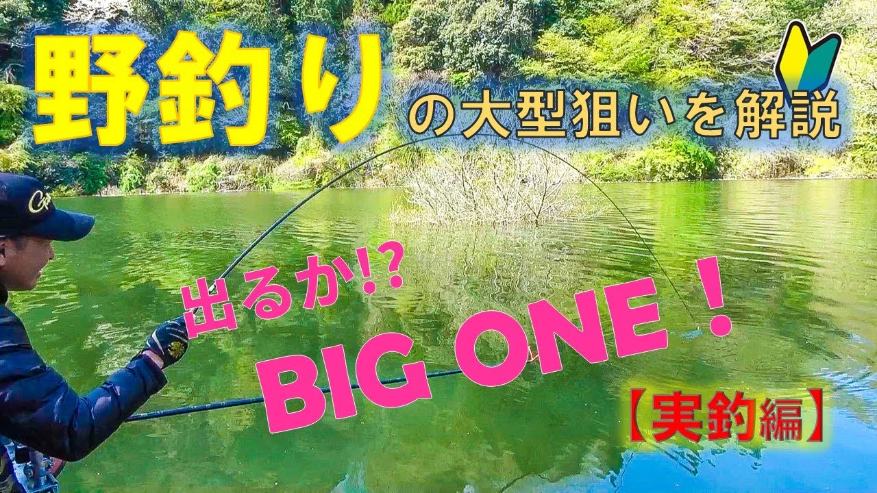 ついにBIG ONEが出る！初心者でも大型が狙える？！『野釣りの大型へらぶな狙いを解説🔰』続編！(実釣編) マッシュベースエサの宙釣り／奈良県・室生ダム