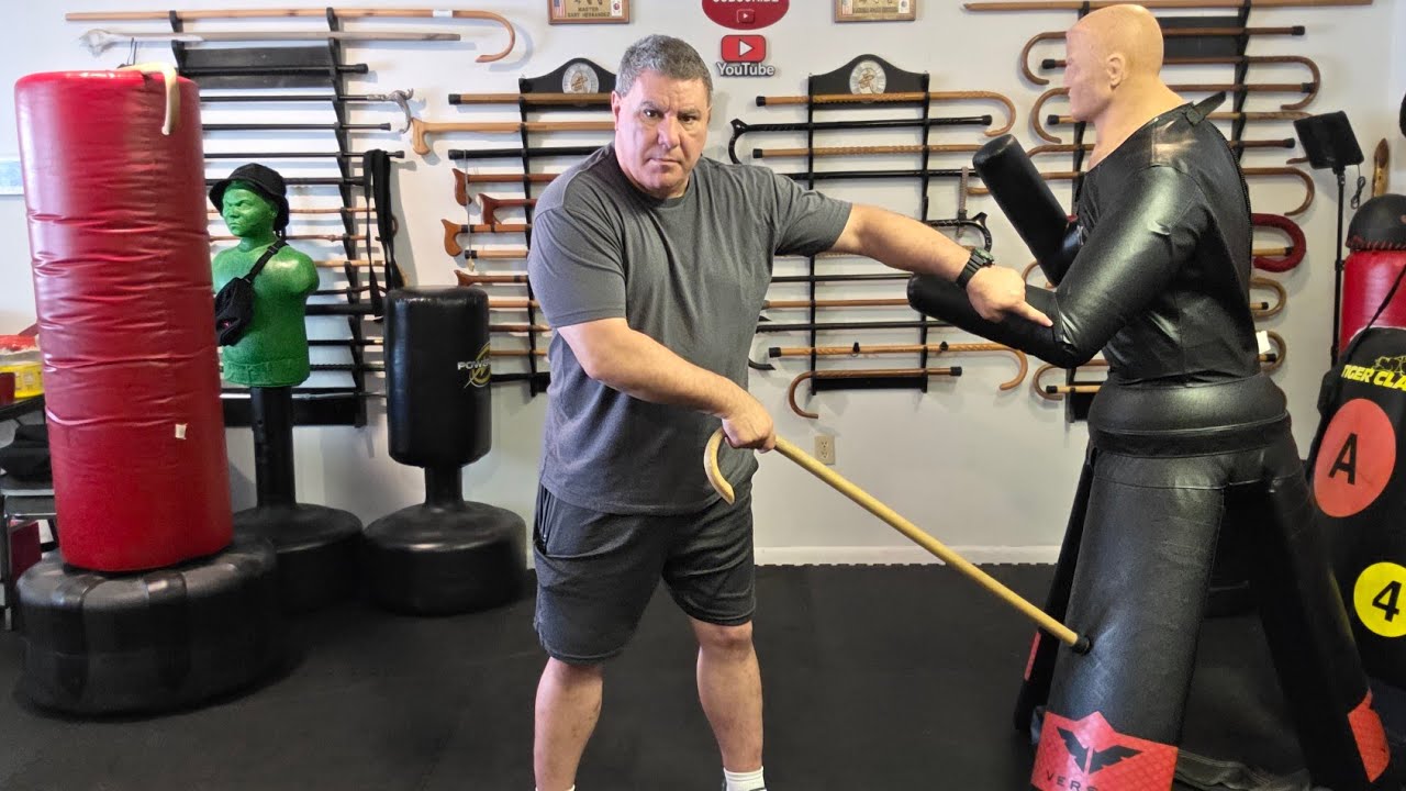 Cane Self Defense with striking two non- lethal areas to get away.