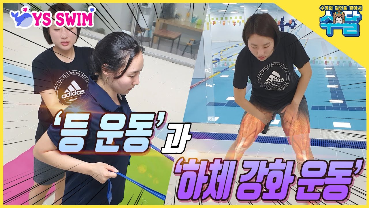 수영에 도움되는 등 운동과 하체 강화 운동 ■ 전 수영 국가대표 정은나 -수영의 달인을 찾아서 31화-