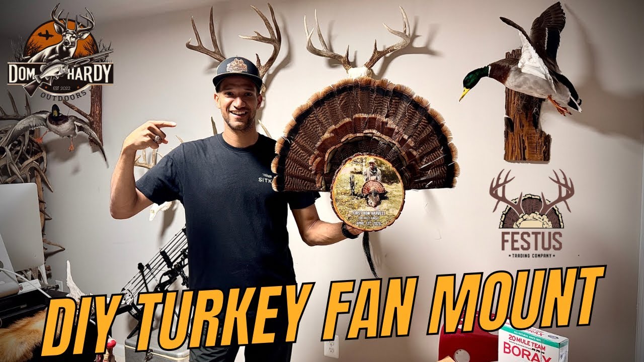 Festus Trading Company - Turkey Fan Mounts!