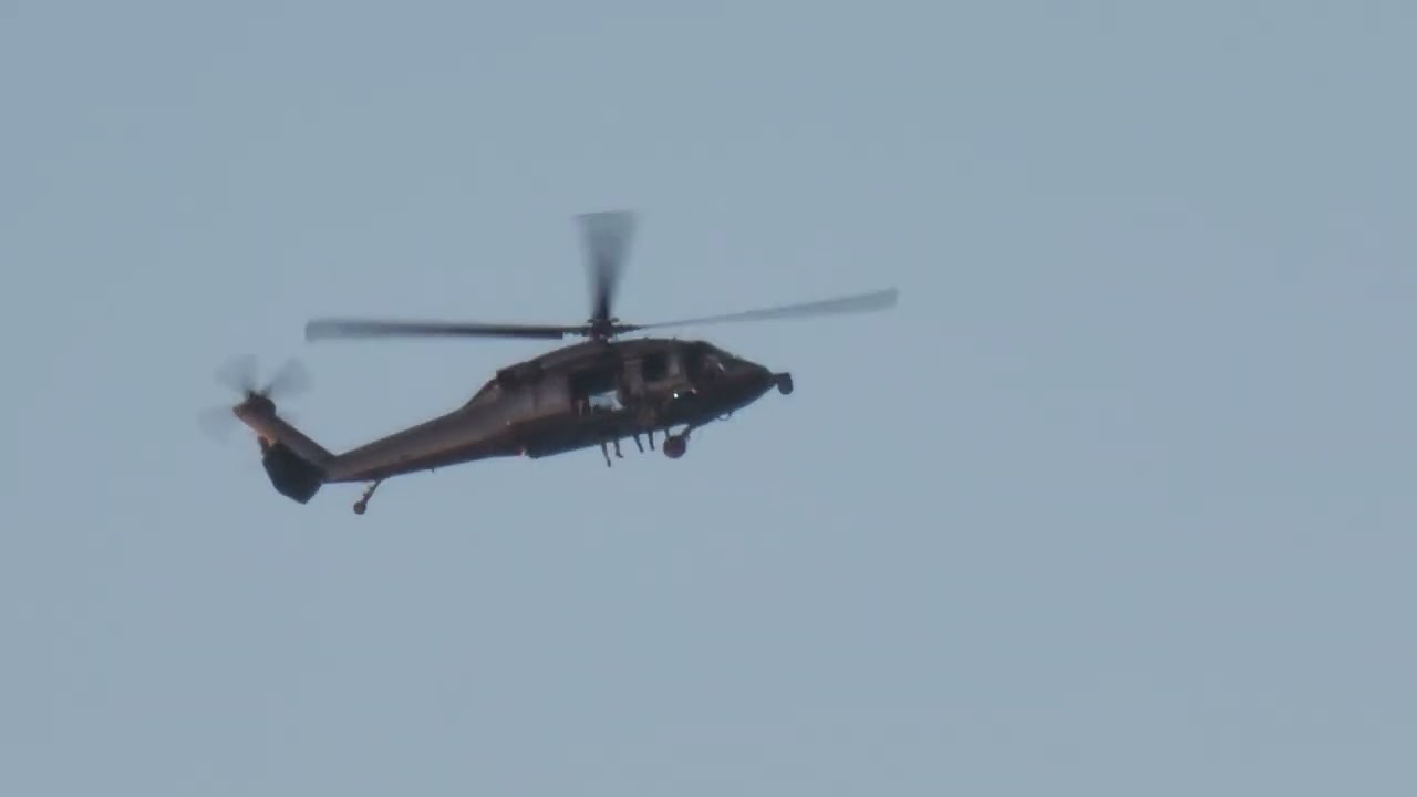 Blackhawk stalking