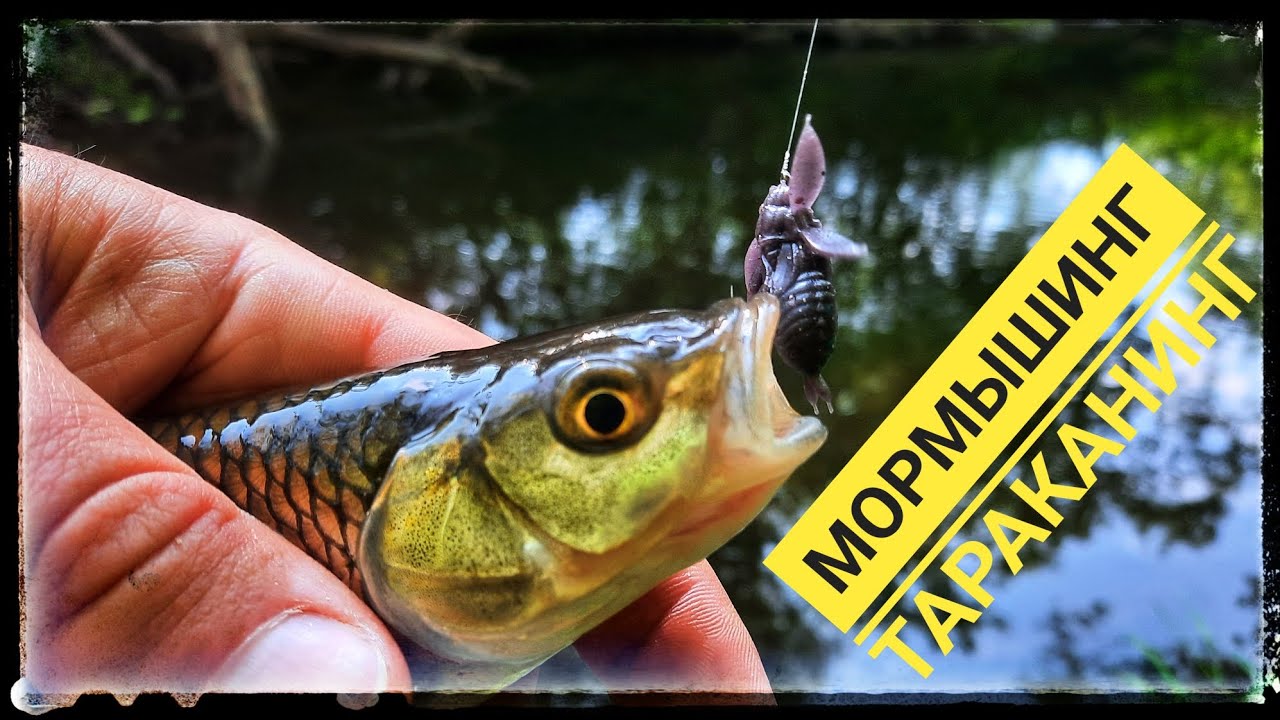 Мормышинг,Тараканинг рыбалка на микроречке