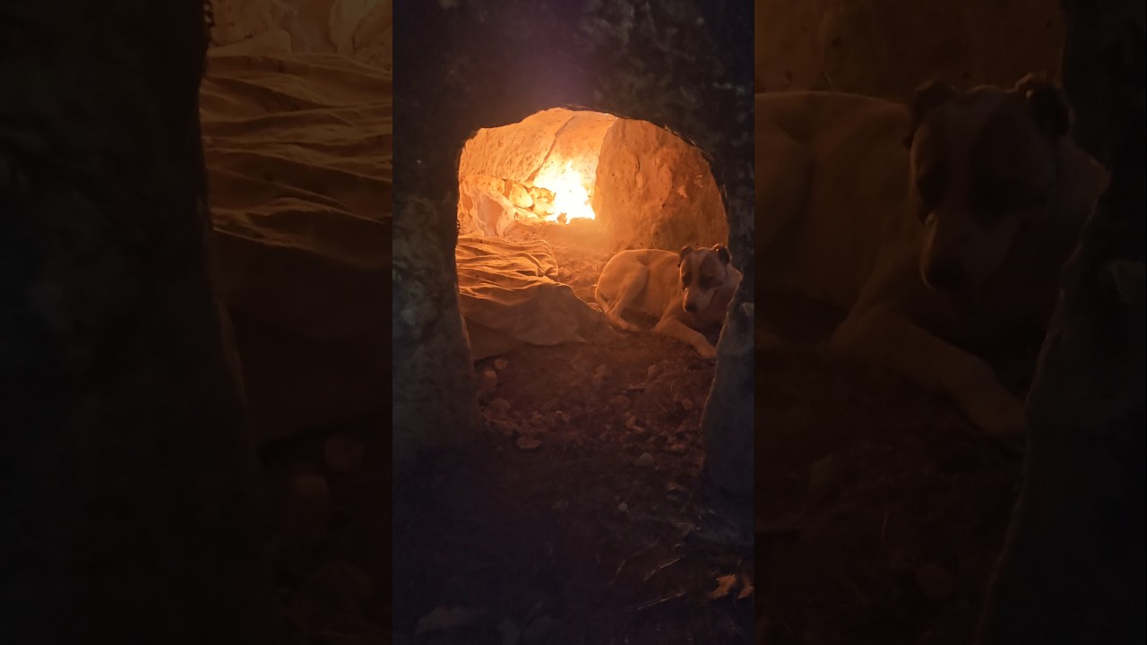Primitive Wilderness Cave Camp with My Dog | No Talking Nature ASMR