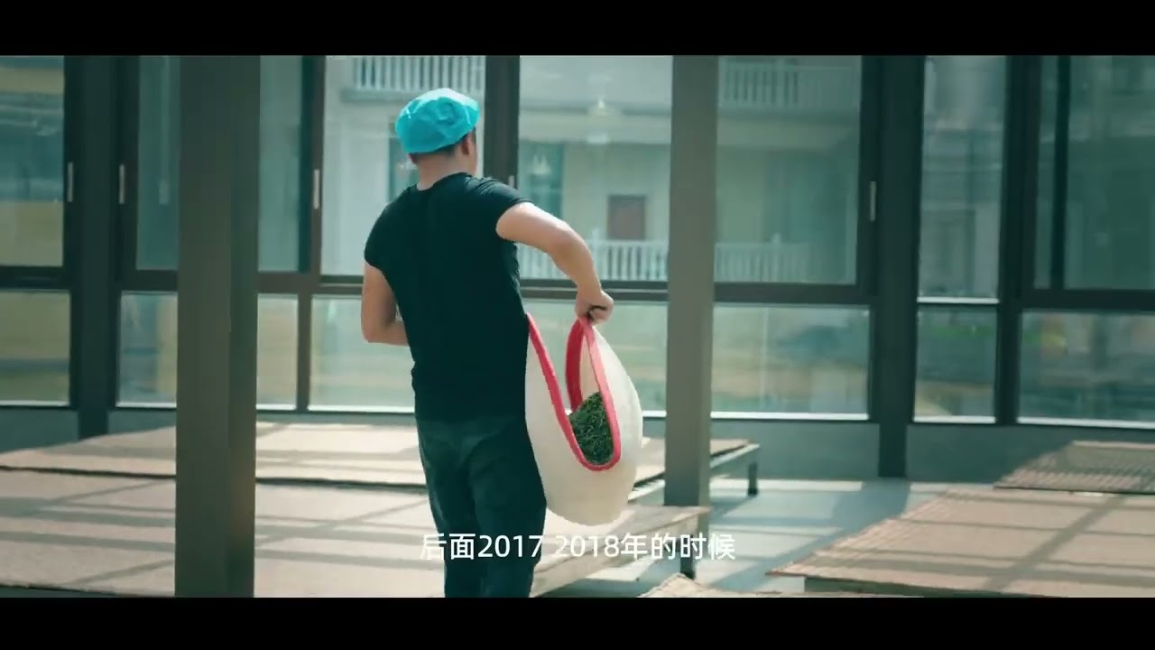 探秘大益茶源第一站：老班章