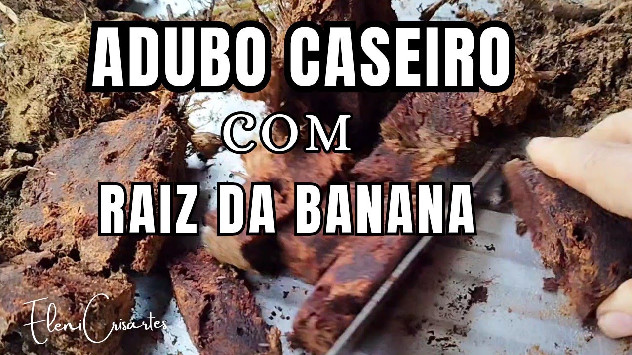 Adubo Caseiro Poderoso com Raiz de Banana – Dica Natural para Suas Plantas!