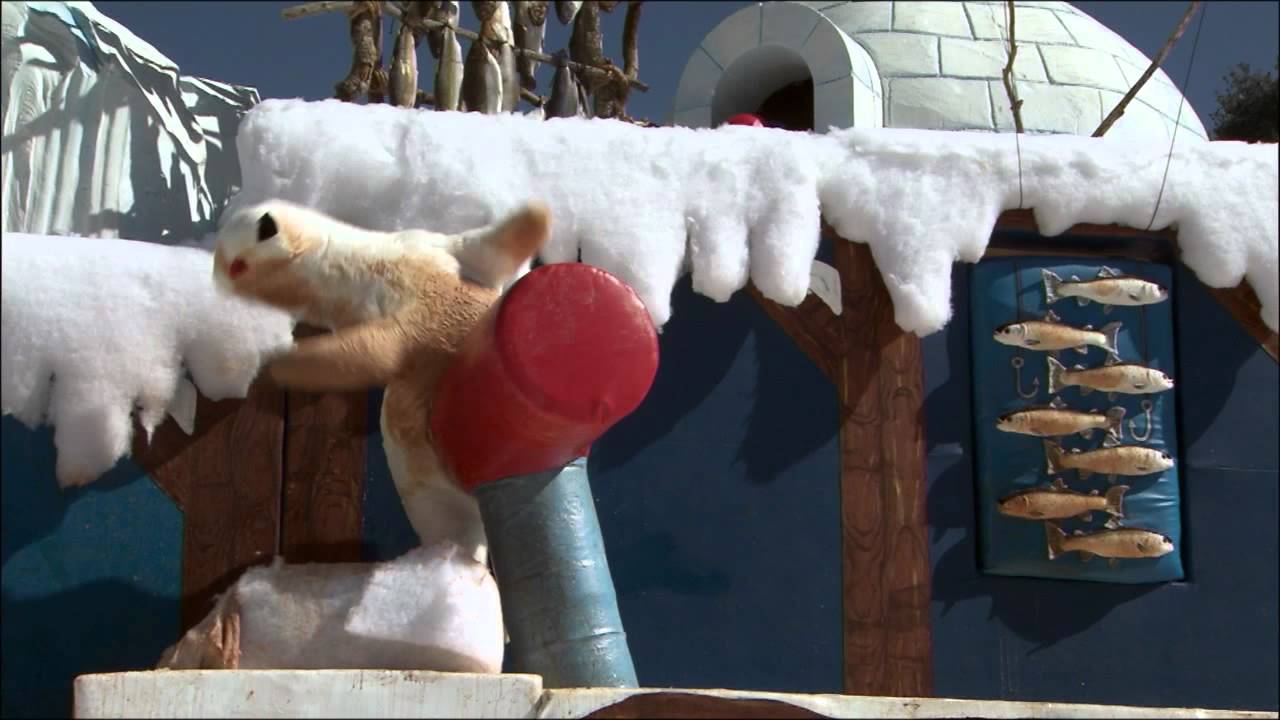 Winter Wipeout: That Snow Way To Fall Down