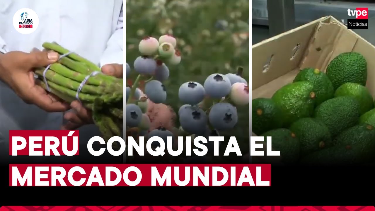 Perú lidera provisión de alimentos al mundo | 