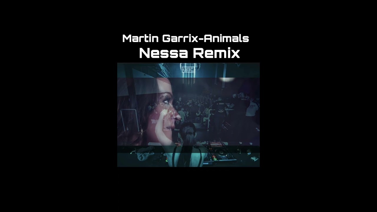 Martin Garrix-Animals-Nessa remix