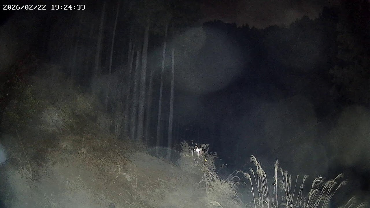 東京都西多摩郡檜原村森林ライブカメラ Tokyo Nishitama Live camera.world.cam