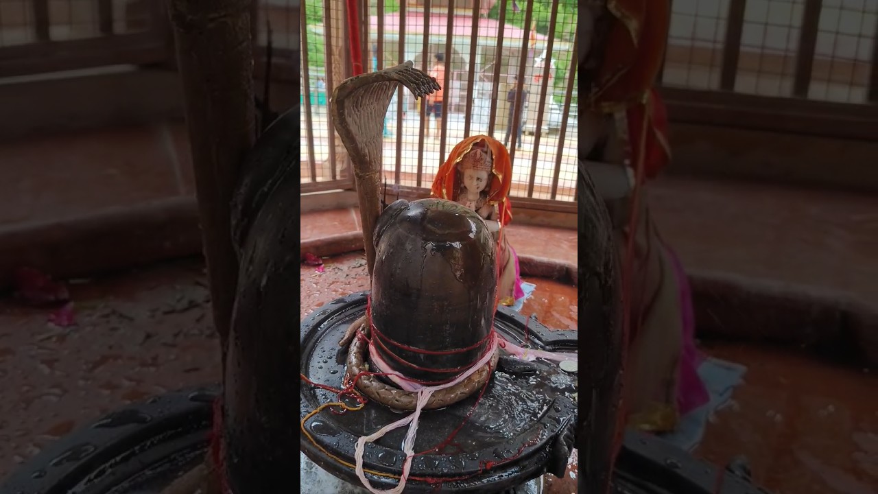 Savan Puja || Har Har Mahadev #Savan #shorts #ytshorts
