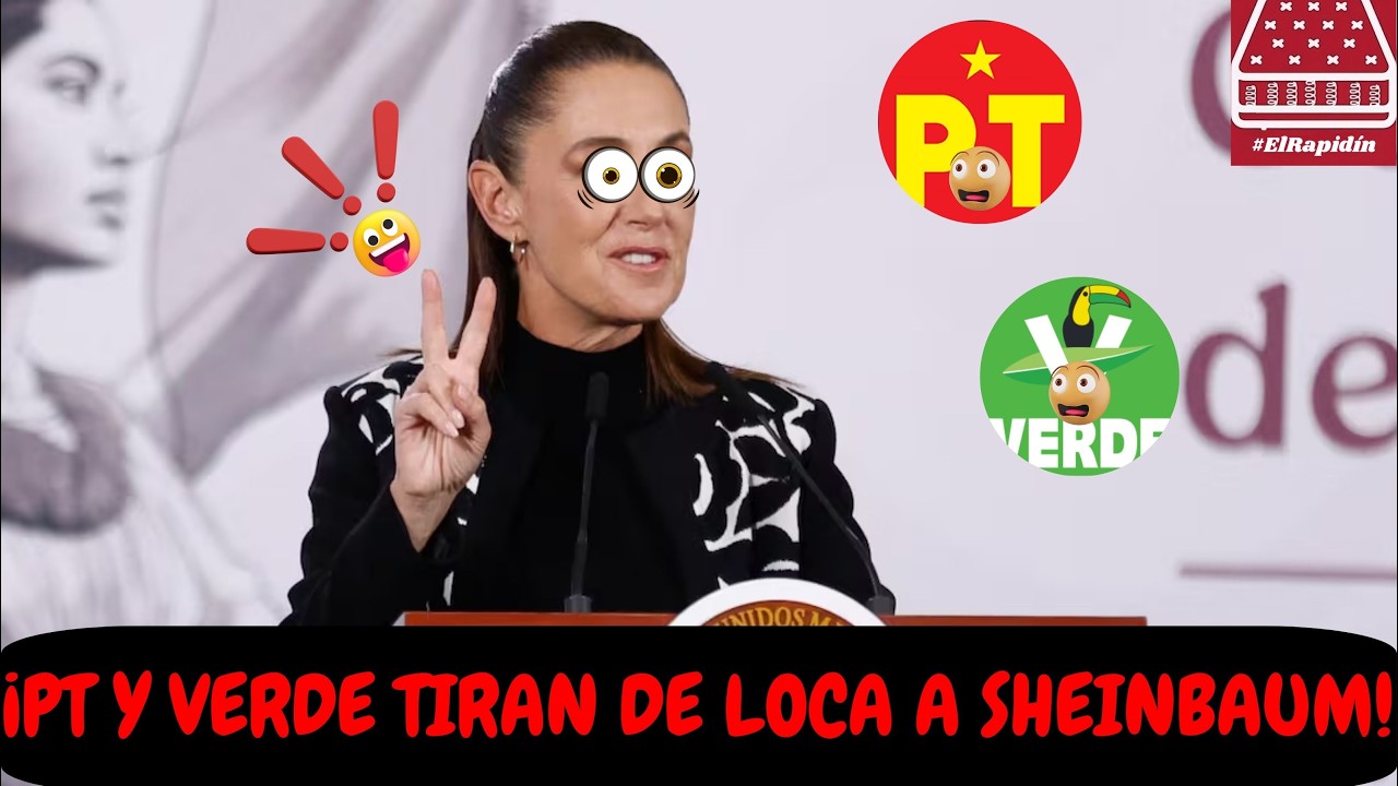 ¡PT Y VERDE TIRAN DE LOCA A SHEINBAUM! #ElRaidínEnVivo 12-feb-26